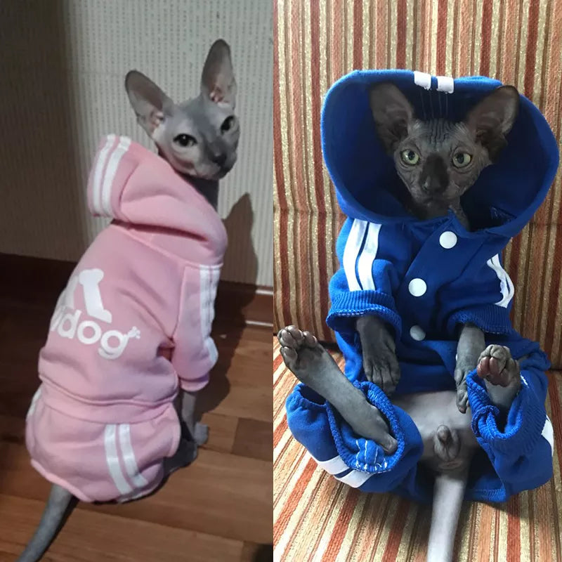 Cute Cat Sweater Hoodie Winter Warm Pet Clothes for Cats Sphynx Katten Clothing Outfit Ropa Para gatos Kedi Giyim Pets Products