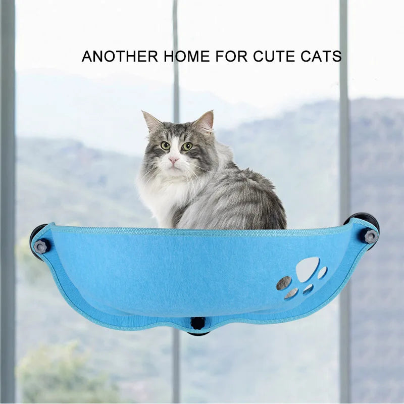 SHUANGMAO Pet Cat Hammock Beds Sunny Window Lounger Suction Hammocks Cats House shelf Comfortable Warm Ferret Pet Bed Supplies