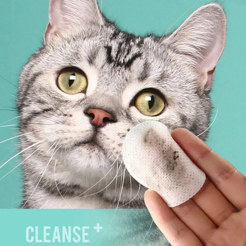 130 PCS/A Lot Pets Dogs Cats Wipe Pet Eye Wet Wipes Dog Cat Tear Stain Remover Pet Eye Grooming Wipes Pet Grooming Supplies Pets
