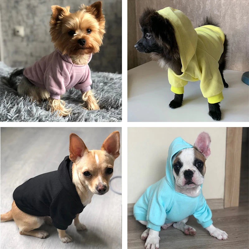 Solid Cat Dog Hoodies Pet Clothes for Small Dogs Pet Clothing Coat Jackets Sweatshirt for Chihuahua Doggie Cotton Pet Outfits