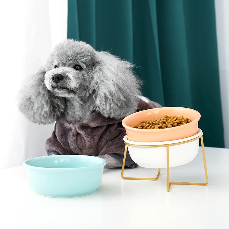 Cat Bowl Ceramic Container For Puppy Cat Dog Food Feeding Feeder Drinker With Raised Stand Adjustable Pet Supplies Product #P008