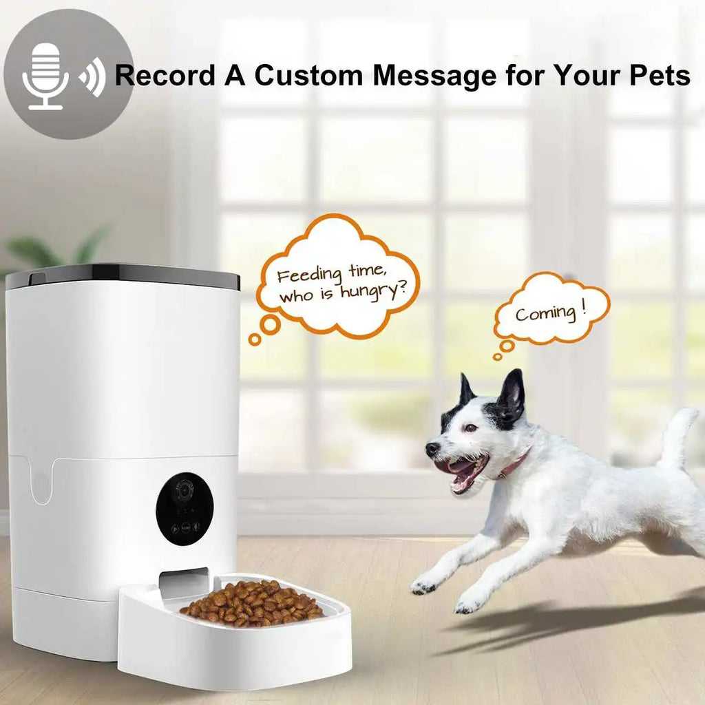 6L Pet Automatic Feeder Cat Dog Food Dispenser Vedio Version Smart 5S Voice Recorder APP Control Timing Feeding With HD Camera