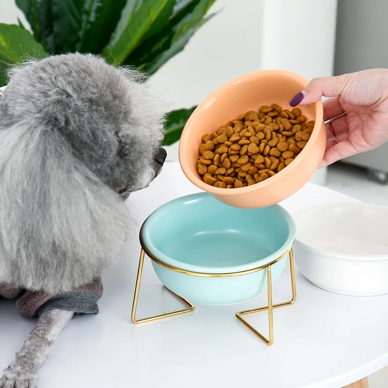 Cat Bowl Ceramic Container For Puppy Cat Dog Food Feeding Feeder Drinker With Raised Stand Adjustable Pet Supplies Product #P008