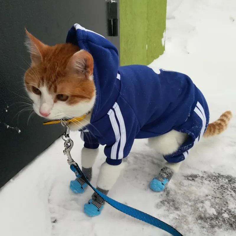 Cute Cat Sweater Hoodie Winter Warm Pet Clothes for Cats Sphynx Katten Clothing Outfit Ropa Para gatos Kedi Giyim Pets Products
