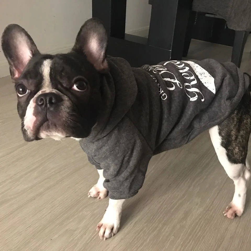 NEW Pet Clothes Dog Hoodies Spring Autumn Leisure Dog Sweatshirts For Small Cat  Large Dogs XS to XXXL