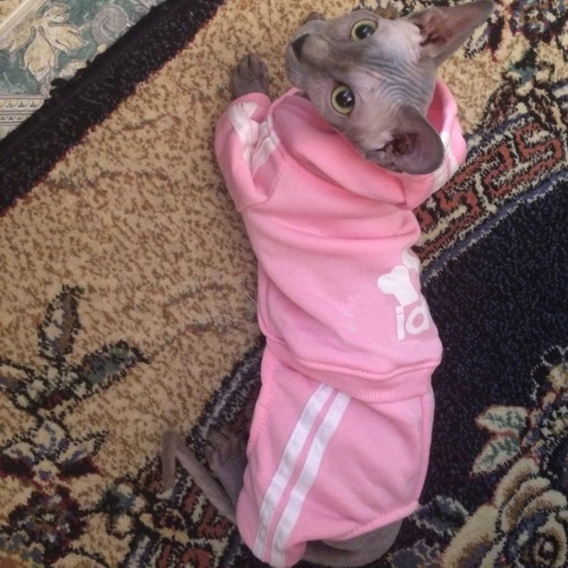 Cute Cat Sweater Hoodie Winter Warm Pet Clothes for Cats Sphynx Katten Clothing Outfit Ropa Para gatos Kedi Giyim Pets Products