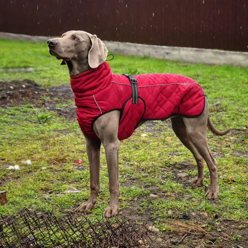 Wholesale Dog Clothing Jacket For Dog Winter Dog Clothes Thick Red Pet Clothes Golden Retriever Large Dog Jacket Black Dog Coat