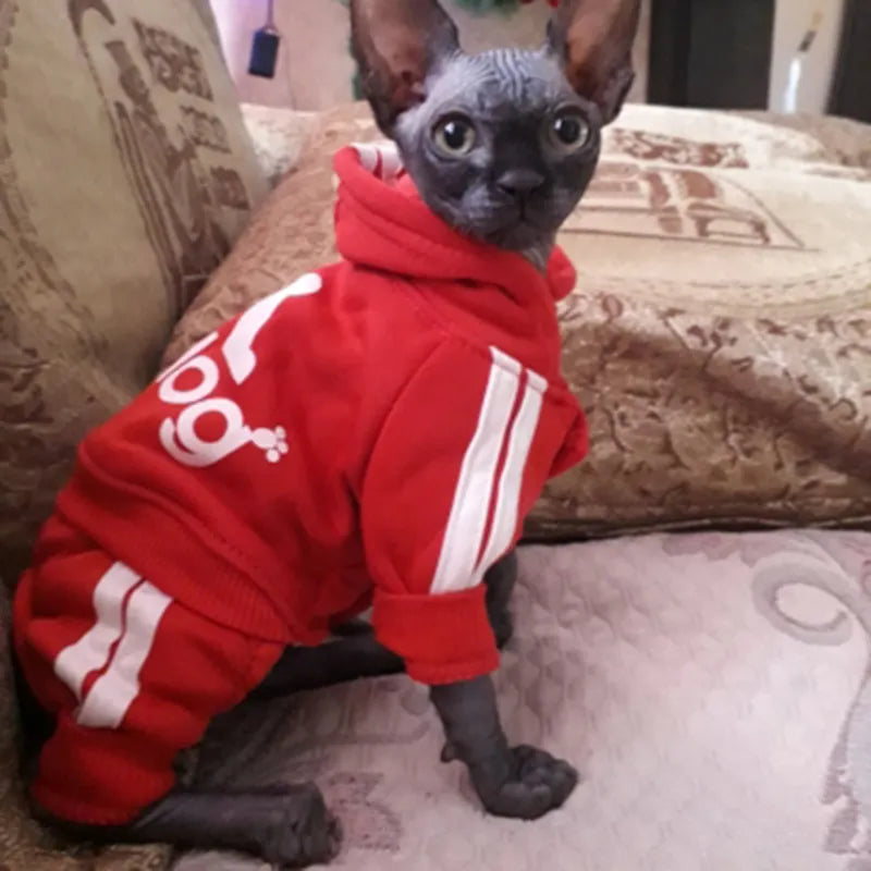 Cute Cat Sweater Hoodie Winter Warm Pet Clothes for Cats Sphynx Katten Clothing Outfit Ropa Para gatos Kedi Giyim Pets Products