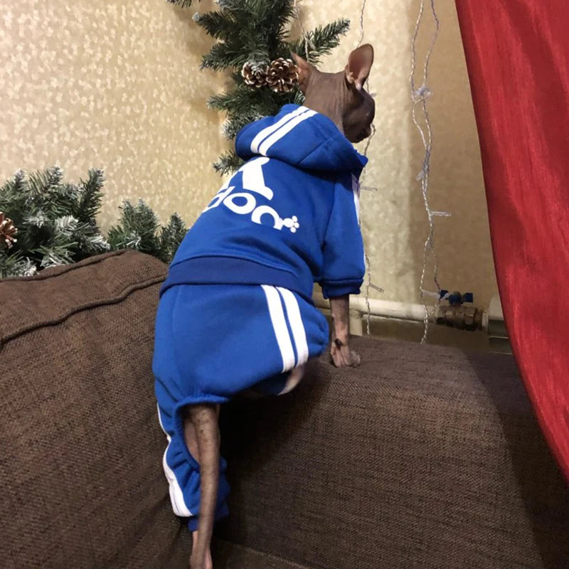 Cute Cat Sweater Hoodie Winter Warm Pet Clothes for Cats Sphynx Katten Clothing Outfit Ropa Para gatos Kedi Giyim Pets Products