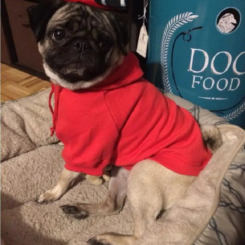 NEW Pet Clothes Dog Hoodies Spring Autumn Leisure Dog Sweatshirts For Small Cat  Large Dogs XS to XXXL