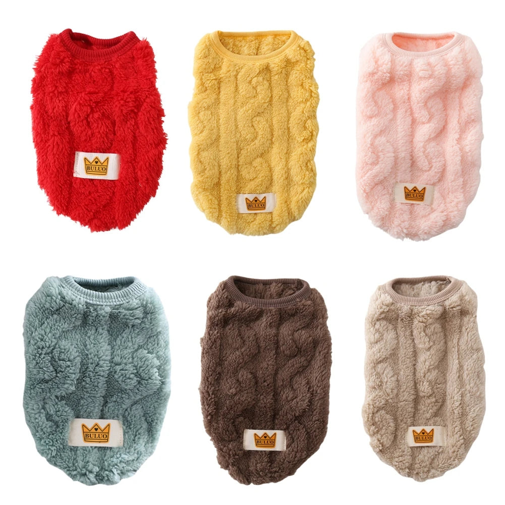Fleece Pullover Pet Clothes Cute Wavy Double-sided Puppy Kitten Coats Sweater for Small Medium Dogs Cats Warm Winter Outfit