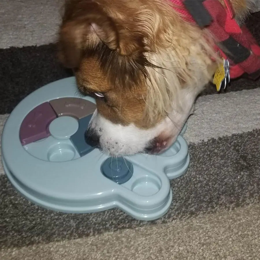 Dog Puzzle Toys Increase IQ Interactive Puppy Dog Food Dispenser Pet Dogs Training Games Feeder for Puppy medium Dog Bowl