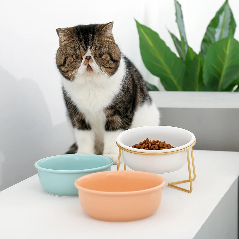 Cat Bowl Ceramic Container For Puppy Cat Dog Food Feeding Feeder Drinker With Raised Stand Adjustable Pet Supplies Product #P008