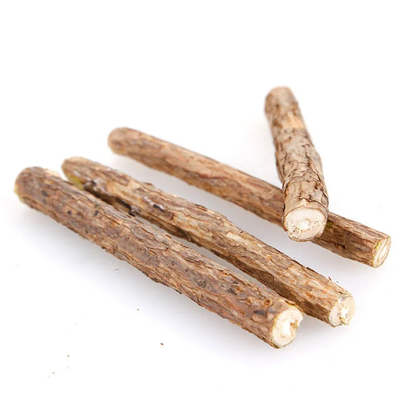 5/10pcs Natural Pet Cat Molar Toothpaste Stick Cat Snacks Sticks Pet Cleaning Teeth For Cat Teeth Cleaning Treating Supplies