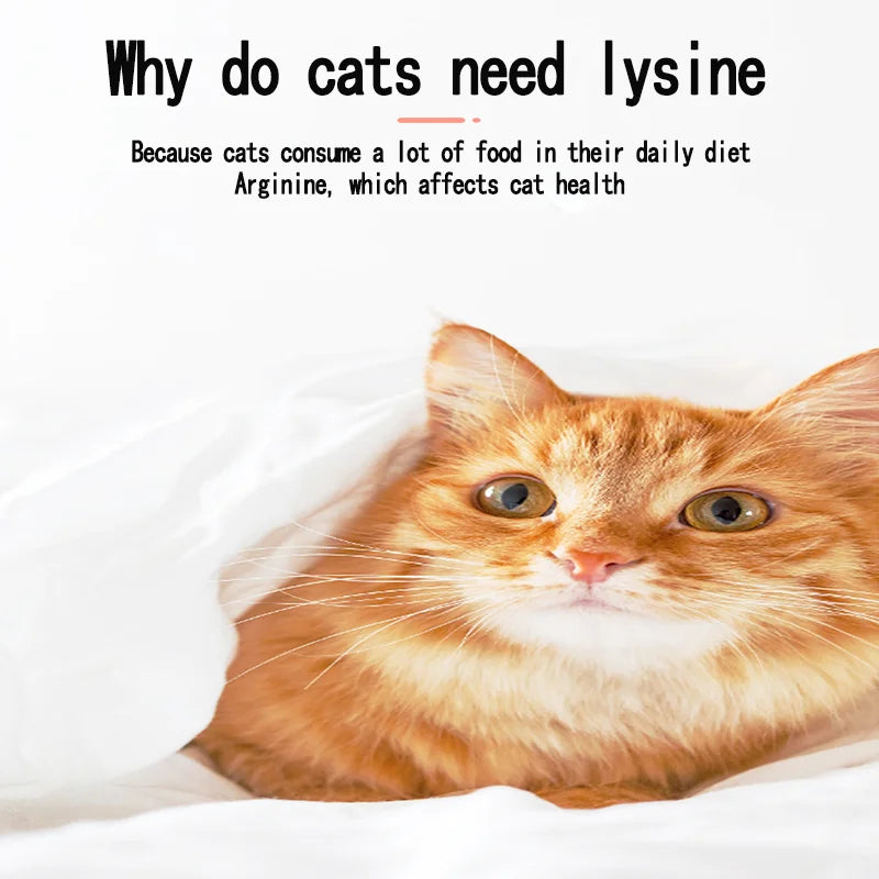 High-Concentration L-Lysine, Vitamin Taurine, And Cat-Specific Pet Nutritional Supplements Can Enhance Resistance And Immunity.