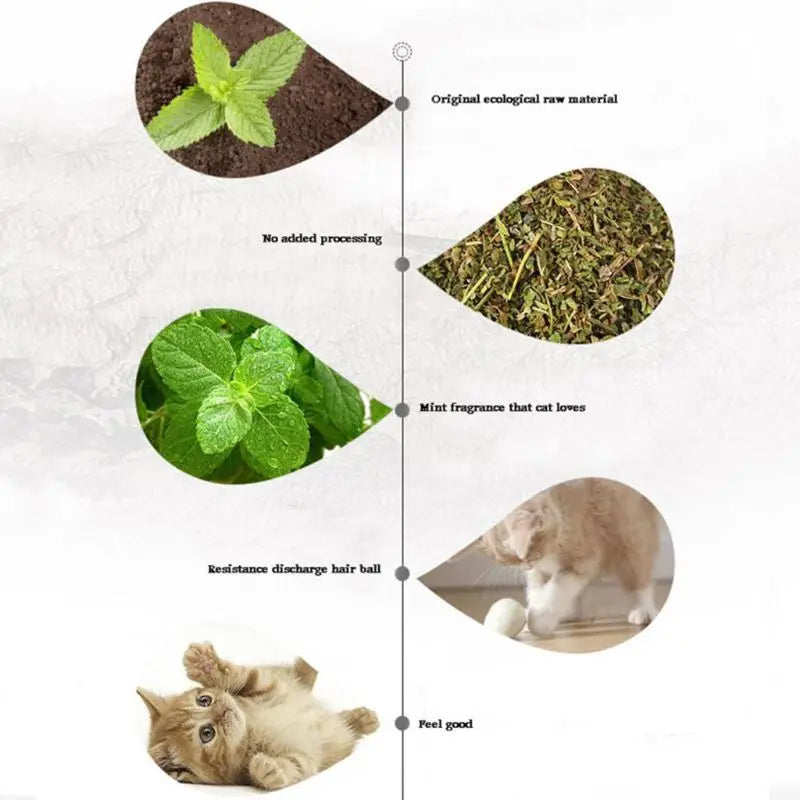 Pet Dental Care Mints for Cat Mint Treats for Cat for Fresh Breath Catnip Treats 0.18 oz for Pet for Cat Healthy Teeth G