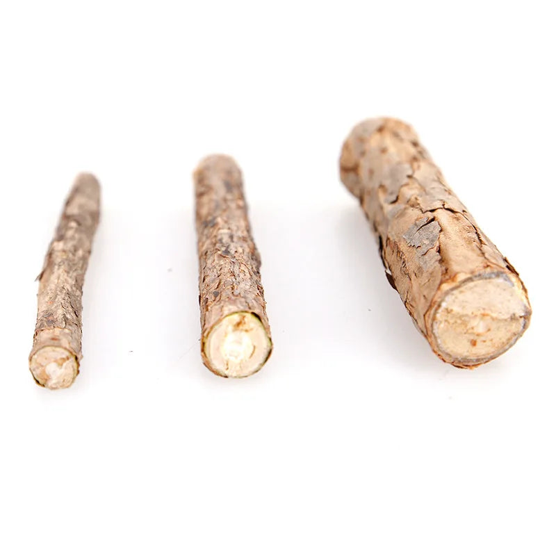 Cat Teeth Molar Stick Wood Lily Cat Treats Natural Catnip Cat Toys Interactive Cat Treat Toy Pet Toys  for Cats Pet Products