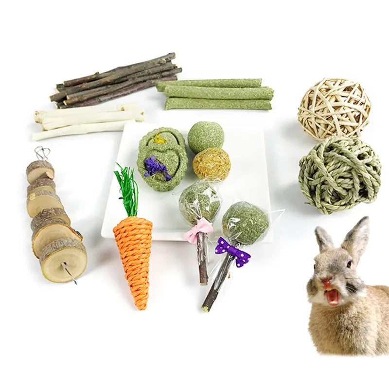 10 Models Small Pet Chew Toys Hay Treats for guinea pig Rabbit Hamster Gerbil G2AB