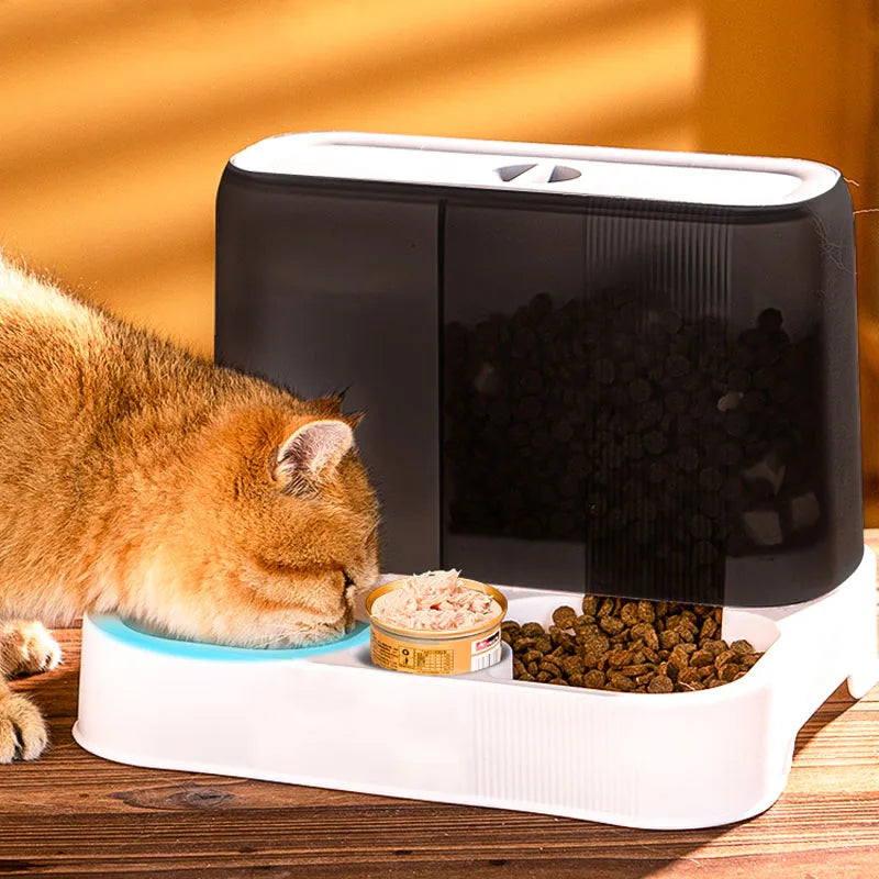 Cat Automatic Feeder Water Dispenser Large Capacity Wet and Dry Separation Dog Food Container Drinking Water Bowl Pet Supplies