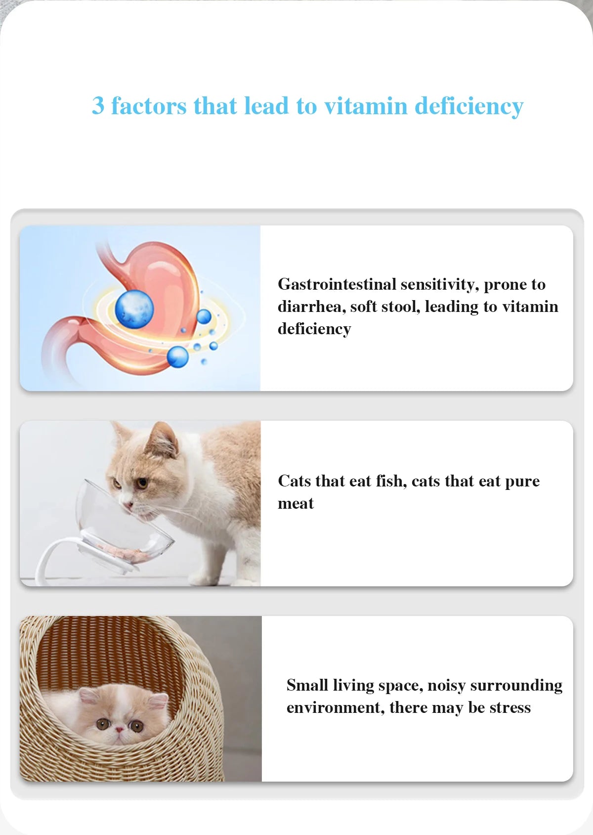 Cat Multivitamin Tablets 200 Cats Vitamin Shine Hair Pet Health Care Product Cat Nutrition