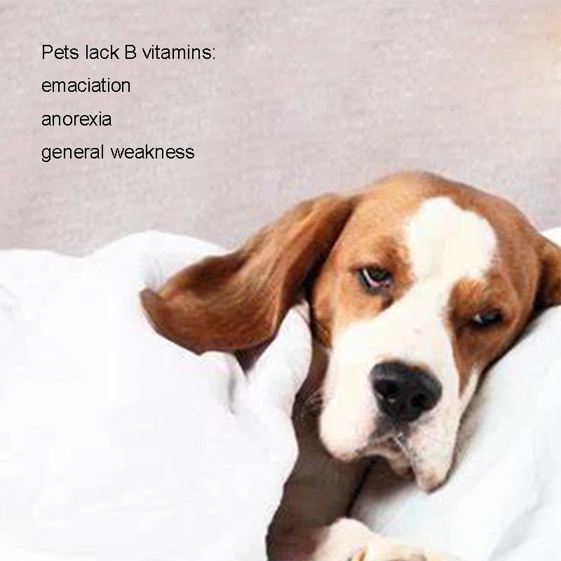 Pet Nutritional Supplement Vitamin VB Oral Liquid for Cats and Dogs Improve Appetite Enhance Immunity