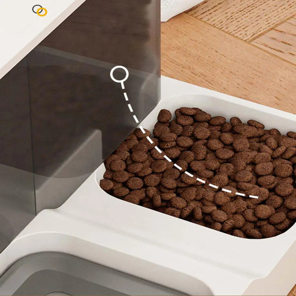 Cat Automatic Feeder Water Dispenser Large Capacity Dogs Food Container Wet And Dry Drinking Water Bowl Pet Supplies