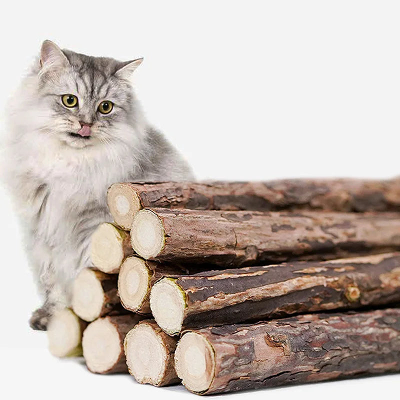 5/25/50PCS Natural Matatabi Cat Stick Mint Caught Bite Excited Rods Silvervine For Cat Teeth Cleaning Treating Pet Cat Products