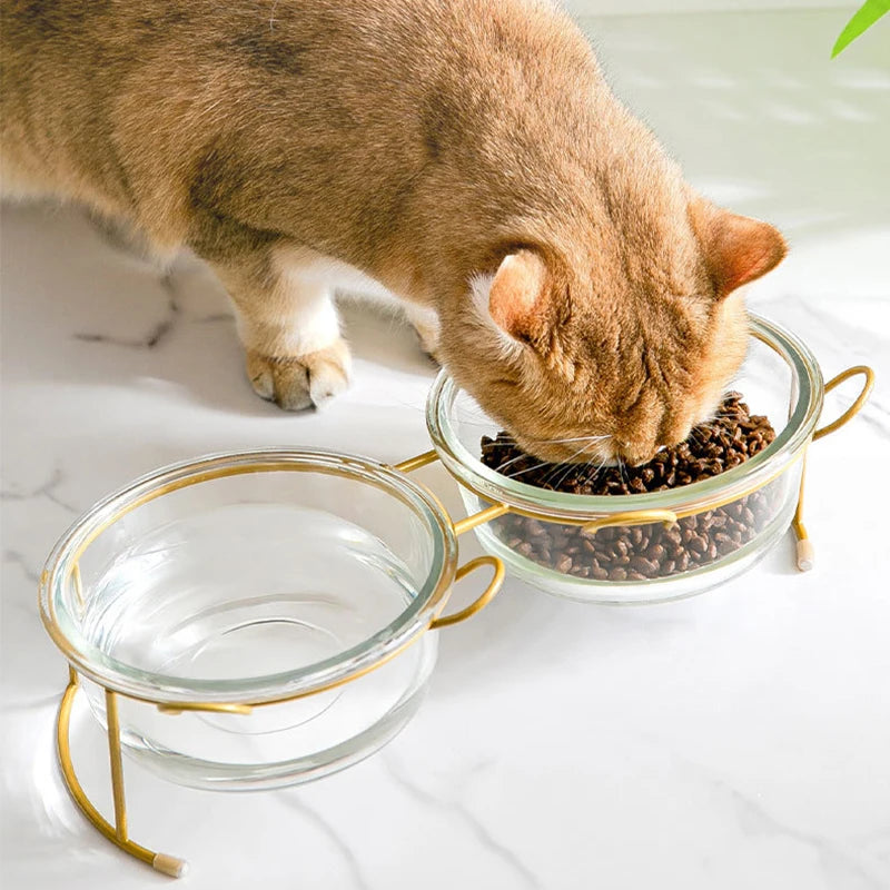 Non-slip Double Cat Bowls Glass Dog Food Bowl Transparent High Foot Oblique Mouth Cat Bowls with Stand Pet Products