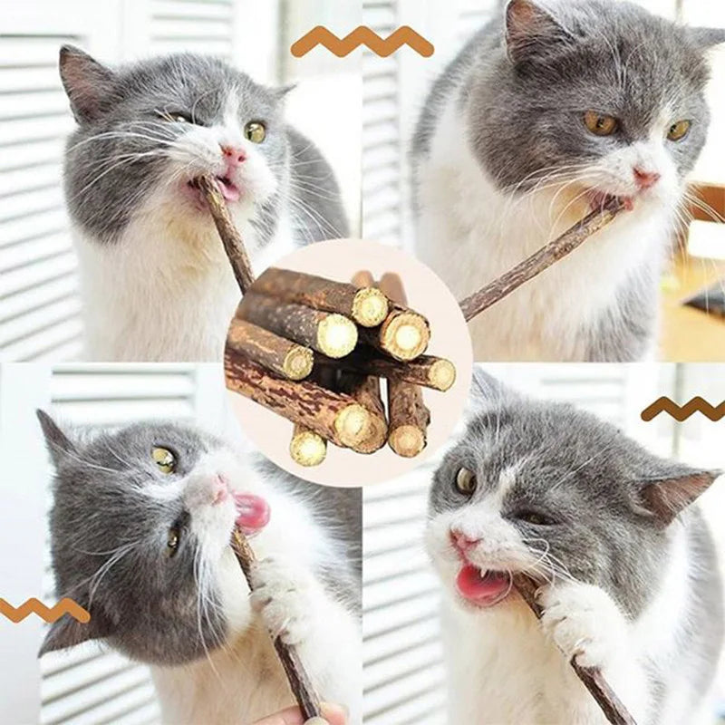5/10pcs Natural Pet Cat Molar Toothpaste Stick Cat Snacks Sticks Pet Cleaning Teeth For Cat Teeth Cleaning Treating Supplies