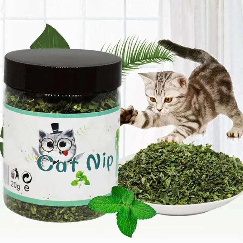 KX4B Pet Dental Care Mints for Cat Mint Treats for Cat for Pet for Cat Dental Care 10
