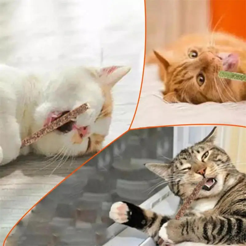 Healthy Cat Catnip Toys Cat Mint Stick Natural Silvervine Catnip Toys Kittens Teeth Cleaning Safe Cat Stick Treat Pet Product