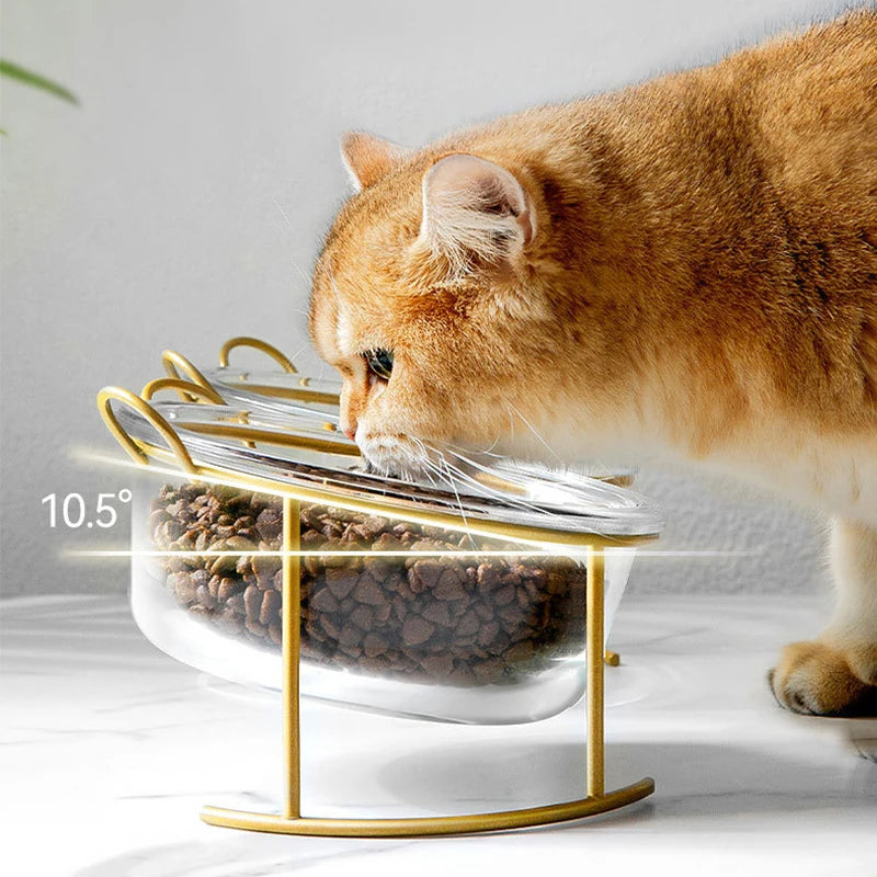 Non-slip Double Cat Bowls Glass Dog Food Bowl Transparent High Foot Oblique Mouth Cat Bowls with Stand Pet Products