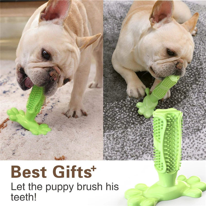 Dog Cactus Interactive Rubber Chew Toys For Small Large Dogs Tooth Cleaning Toothbrush For Small Large Dogs Treat Dispenser Pet