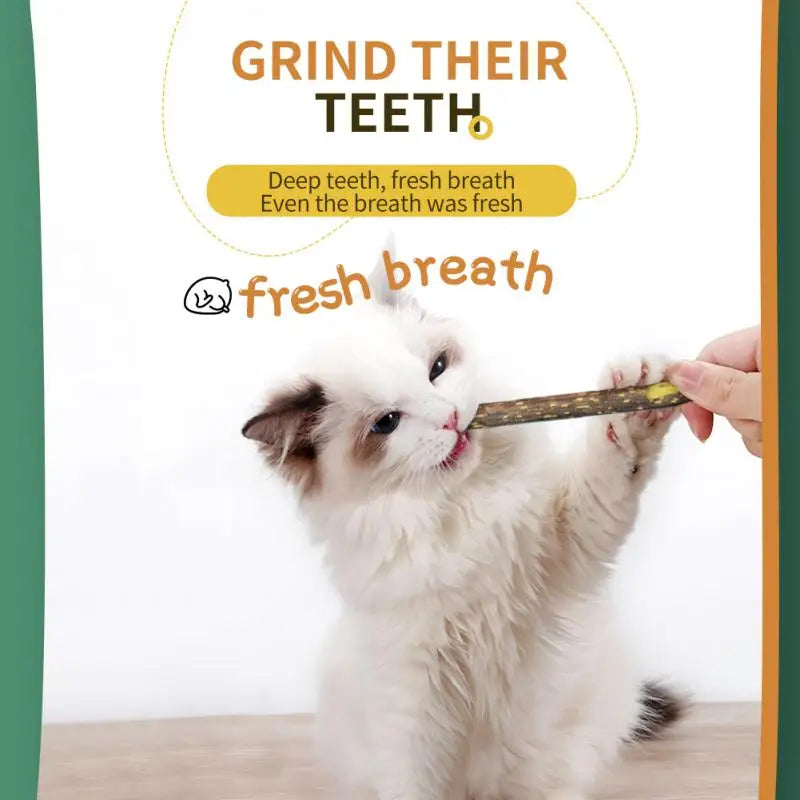15/20pcs Natural Matatabi Cats Stick Mint Caught Bite Excited Rods Silvervine Toys For Cats Teeth Cleaning Treating Pet Cat Toy