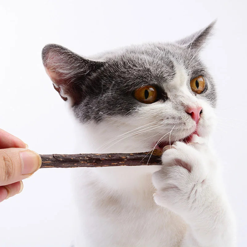 5PCS Natural Matatabi Cat Stick Mint Caught Bite Excited Rods Silvervine For Cat Teeth Cleaning Treating Pet Cat Products