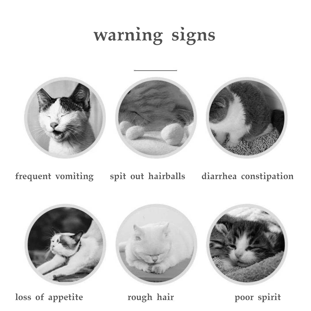 Cat hair removal Pet hair loss resolves hair bulbs to promote digestion and conditioning vitamins and hair