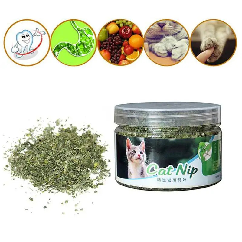 KX4B Pet Dental Care Mints for Cat Mint Treats for Cat for Pet for Cat Dental Care 10