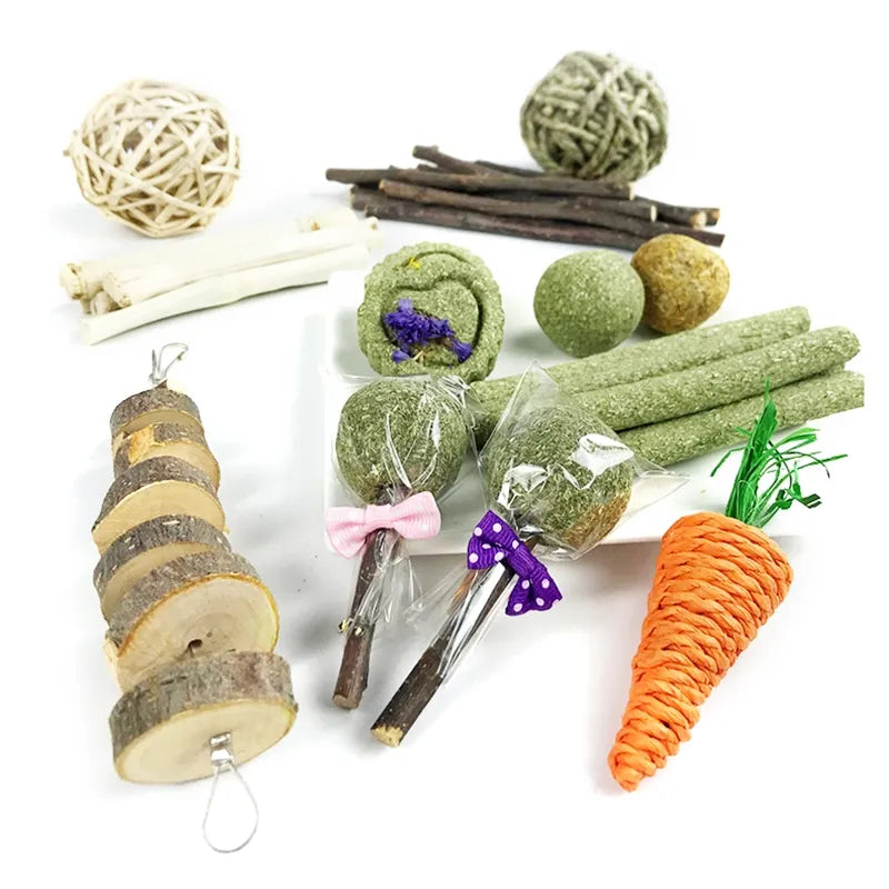 10 Models Small Pet Chew Toys Hay Treats for guinea pig Rabbit Hamster Gerbil G2AB