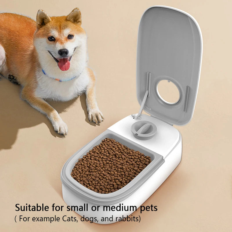 Automatic Pet Smart Timing Feeder Dog Cat Bowl Feeding Supplies Cats Food Dry and Wet Dispenser Pets Feeders Bowls Accessories
