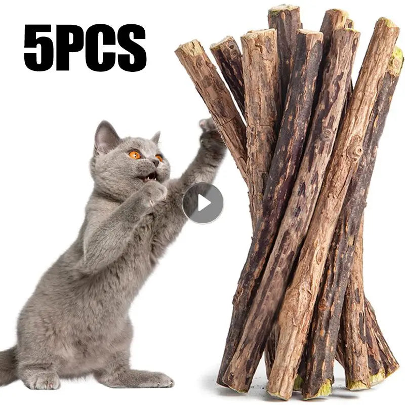 5pcs Natural Matatabi Cat Stick Mint Caught Bite Excited Rods Silvervine For Cat Teeth Cleaning Treating Pet Cat Toys pet toys