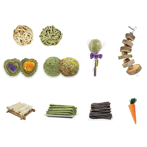 10 Models Small Pet Chew Toys Hay Treats for guinea pig Rabbit Hamster Gerbil G2AB