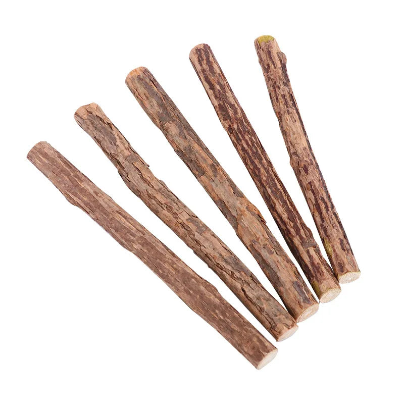5/25/50PCS Natural Matatabi Cat Stick Mint Caught Bite Excited Rods Silvervine For Cat Teeth Cleaning Treating Pet Cat Products