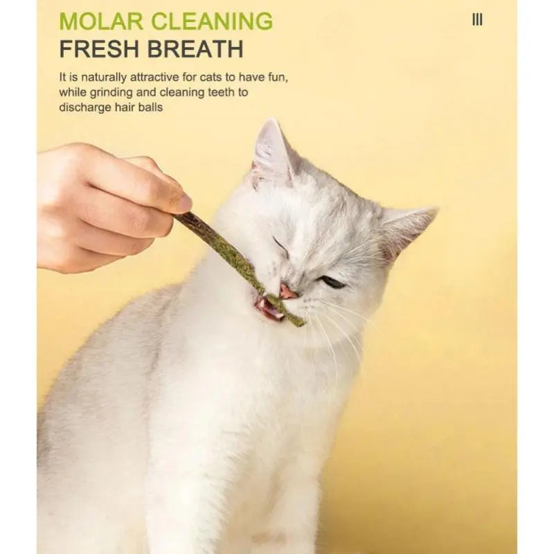 Healthy Cat Catnip Toys Cat Mint Stick Natural Silvervine Catnip Toys Kittens Teeth Cleaning Safe Cat Stick Treat Pet Product