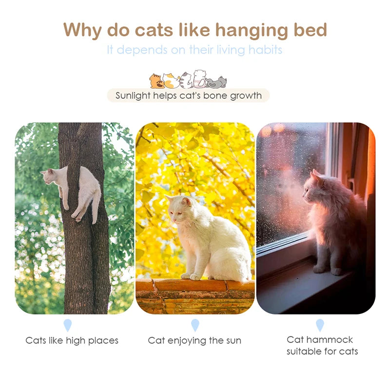 Cute Pet Hanging Beds Bearing 20kg Cat Sunny Window Seat Mount Pet Cat Hammock Comfortable Cat Pet Bed Shelf Seat Beds