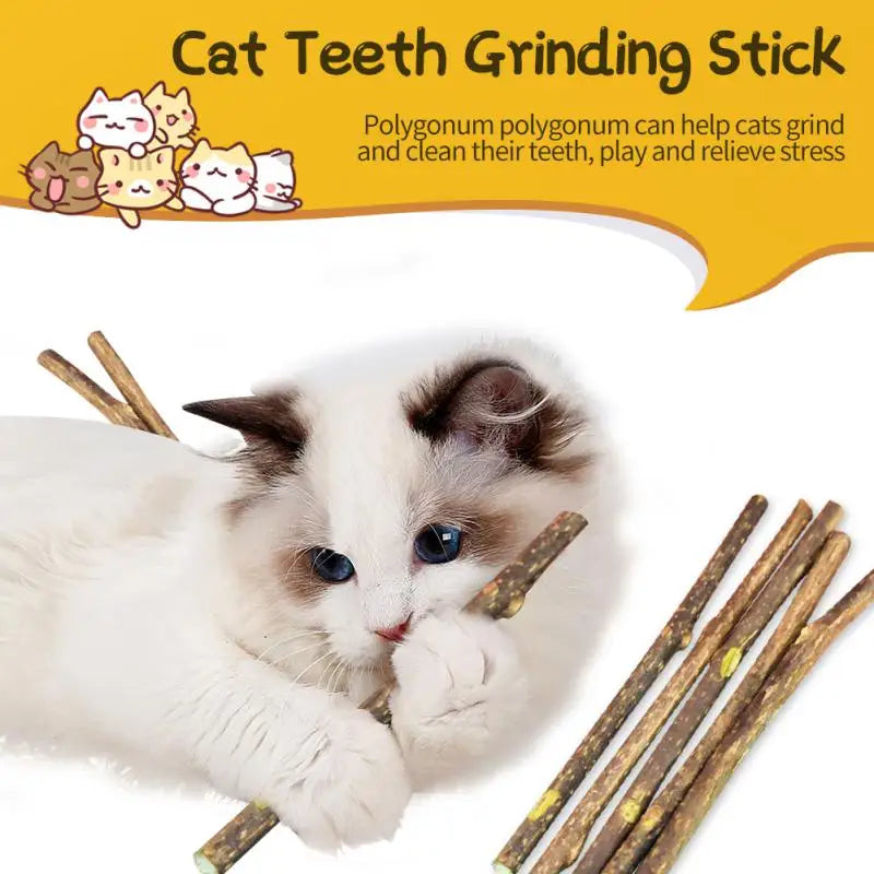 15/20pcs Natural Matatabi Cats Stick Mint Caught Bite Excited Rods Silvervine Toys For Cats Teeth Cleaning Treating Pet Cat Toy