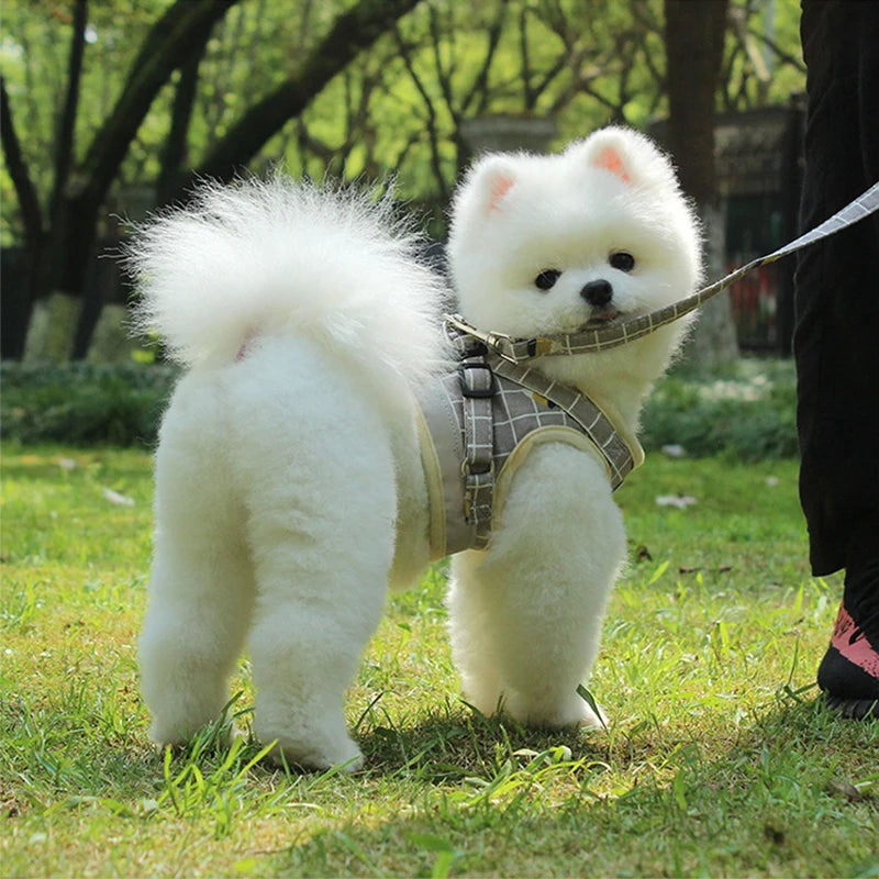 Small Medium Dog Harness Reflective Breathable Chest Strap Plaid Teddy Bichon Pet Clothes Supplies Dog Chain Leash Printed Vest