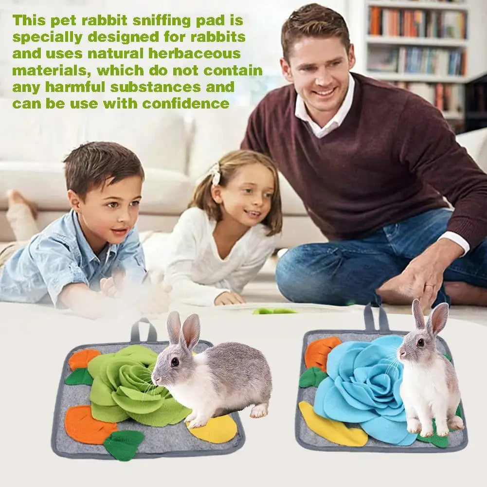 30*30cm Pet Rabbit Sniffing Mat Pad Rabbit Sniffing Fleece Toys Hamster Pad Dog Dog Feeding Chew Treat Mat Snacks Blanket P D5V6