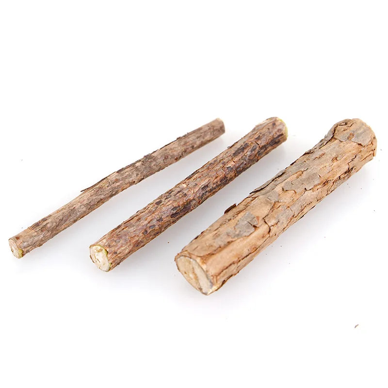 Cat Teeth Molar Stick Wood Lily Cat Treats Natural Catnip Cat Toys Interactive Cat Treat Toy Pet Toys  for Cats Pet Products