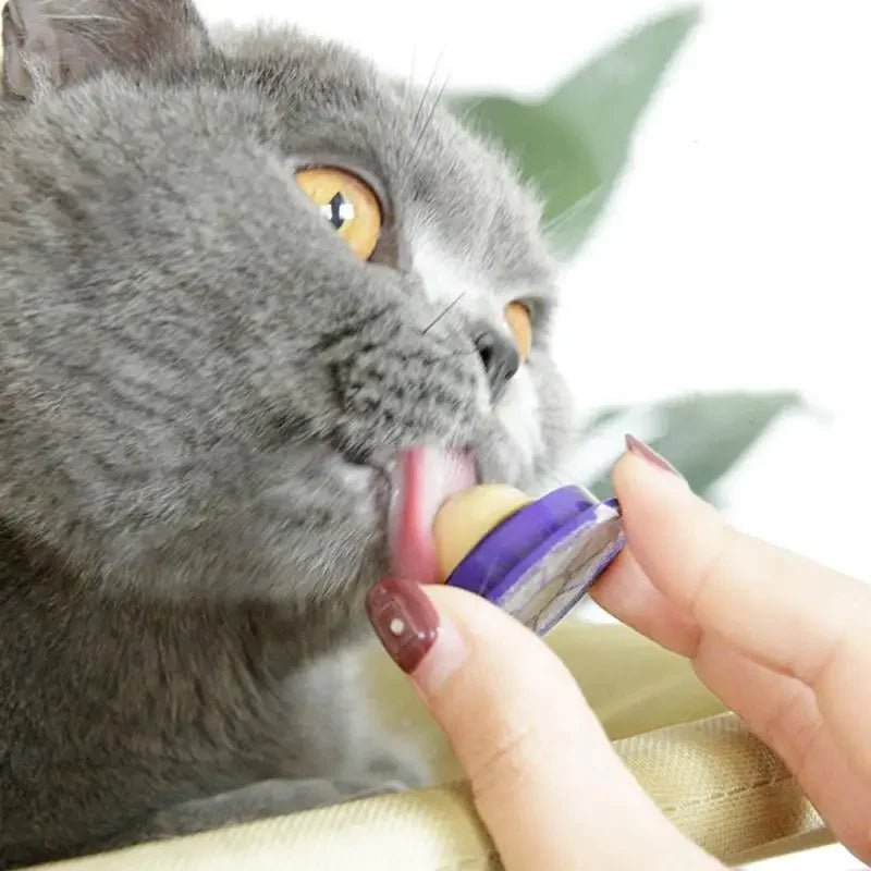 Cat Catnip Ball Dust Cover Round Safe Nutrition Catnip Snack Lick Candy Vitamin Pudding Catnip Lollipop for Cat Kitten Pet Toys