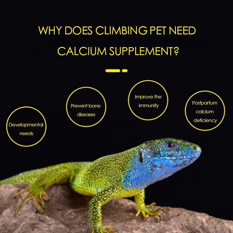 Reptile crawling pet with D3 calcium powder chameleon tortoise gecko maned lion vitamin nutrition and health products
